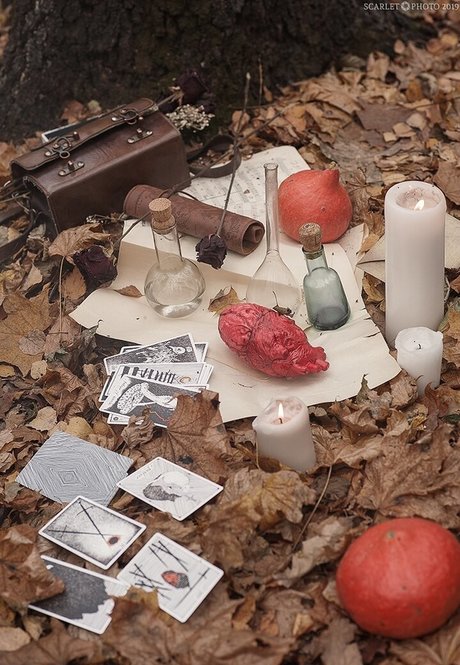 2024 top onlyfans porn photo