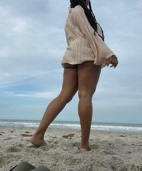 planterriah high quality pornstar archive