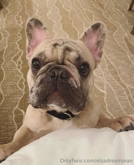 real nude onlyfans sexy image