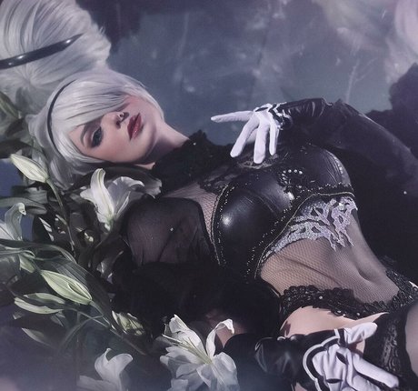 MightyRaccoon high quality star pics