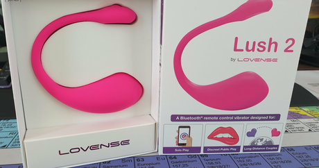 julia jones rocks hd star image