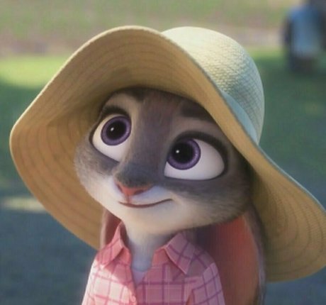 fleurxy nice star pictures