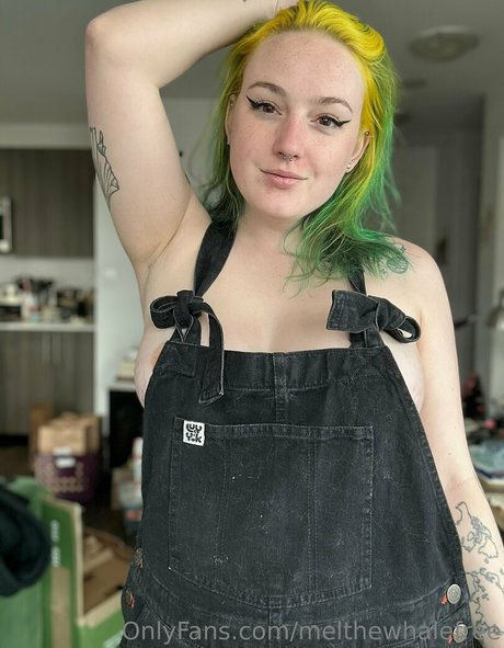 melthewhalefree nice model photo