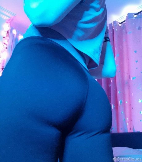 Ceresclouds model exclusive picture