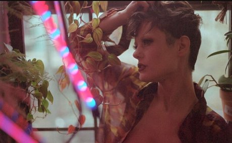 hennanuellerfree star art galleries