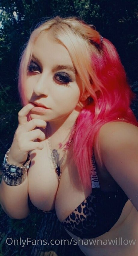 shawnawillow nudes pornstar pics