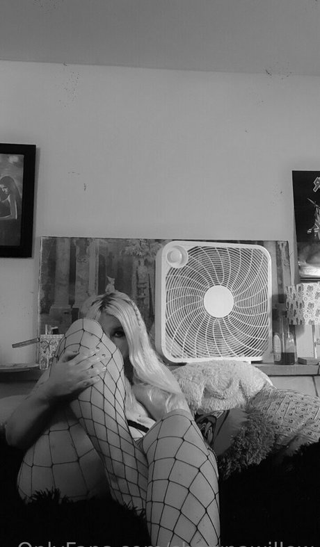 shawnawillow star best picture