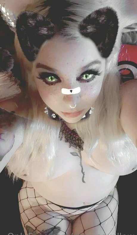 shawnawillow porn actress picture