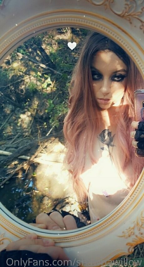 shawnawillow adult star archive