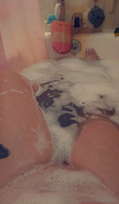 shawnawillow pornstar hot archive