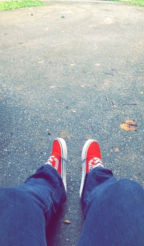 begformolly pornstar sexy photo