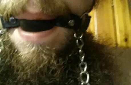 begformolly pretty pornstar image