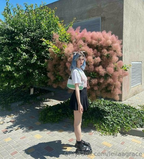 leilaagrace star art galleries