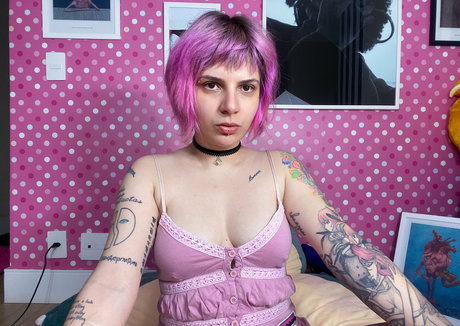 ylw lily high quality star pics