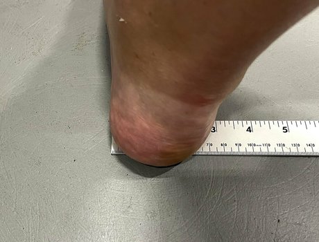 amazonlynn nice pornstar gallery