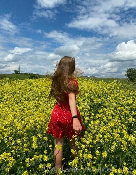 alicee kisss pornstar nudes picture