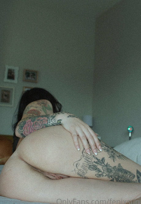 Fenix Sun model hot picture