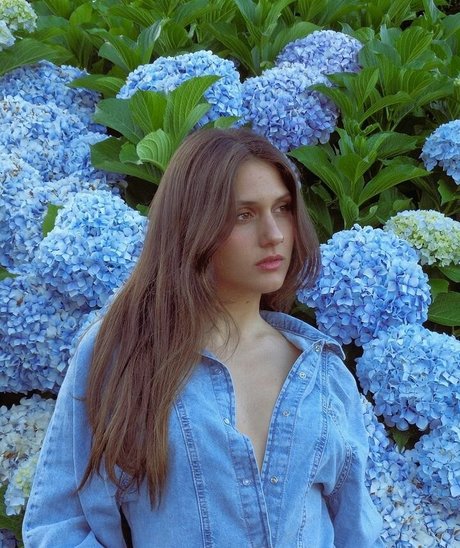 Sabela OT model galleries