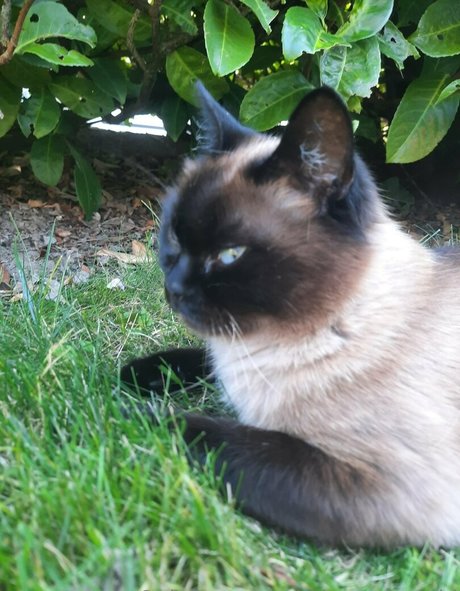 missmeismaid exclusive model picture