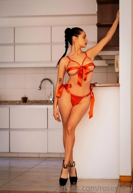 rosedomi best star galleries