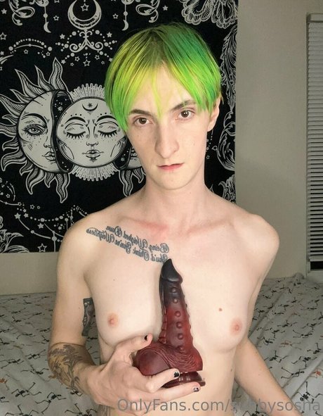 sunnyyy cat model pretty img