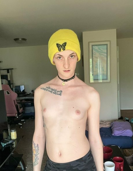 sunnyyy cat star art img