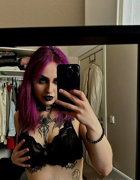 alisharaven pornstar top photo