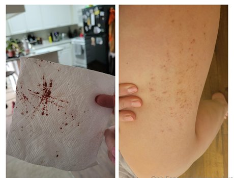 piggynukka star hd picture