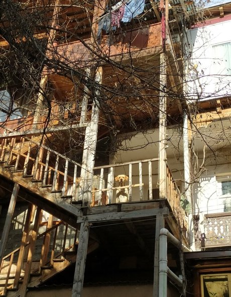 body onlyfans sexy naked photo