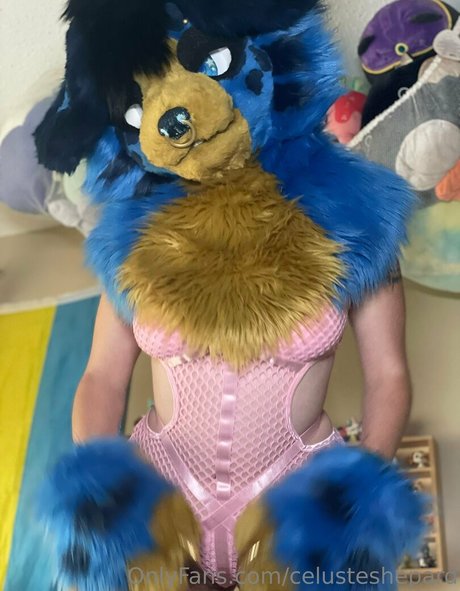 bikini sex onlyfans nice archive