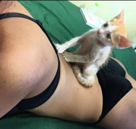 Sas Sy model pornographic img