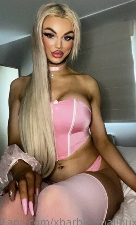 Malibu merc model img