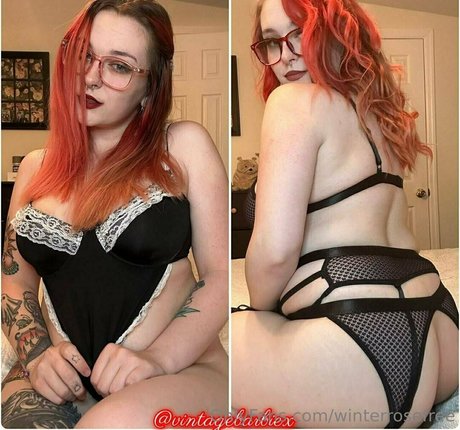 winterrosefree beautiful star photo