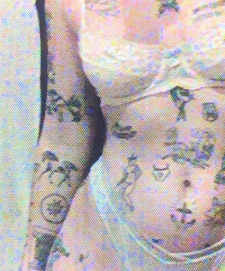 Velvetears nude star picture