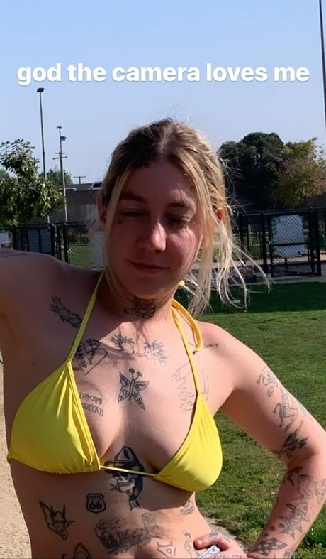 Velvetears art star picture