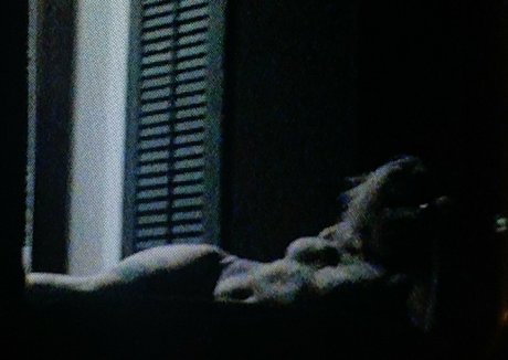 Velvetears pornstar nude pictures