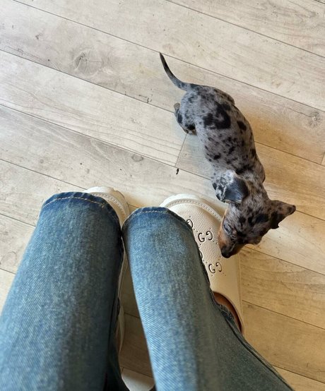 creamy pussy onlyfans hot sex picture