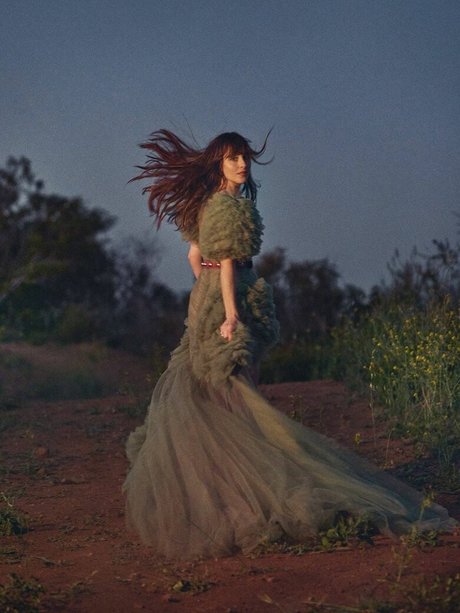 Dakota Johnson high quality star pics