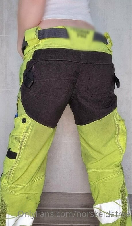 norskeidafree free pornstar gallery