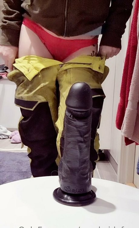 norskeidafree art star photo