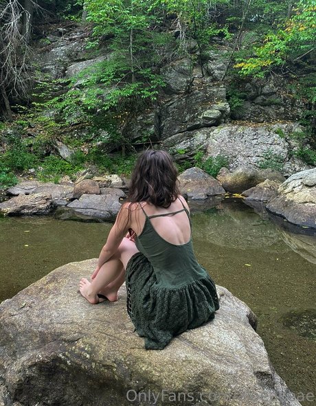 aloeaceae high quality model img