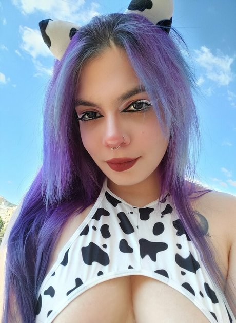 Megaptera star free images