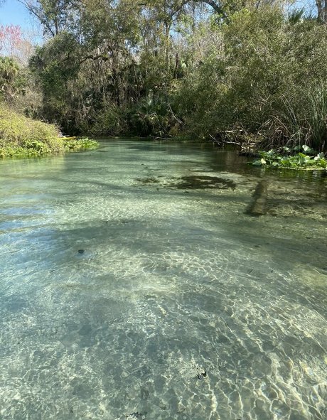 yuffieyulan high quality star photos