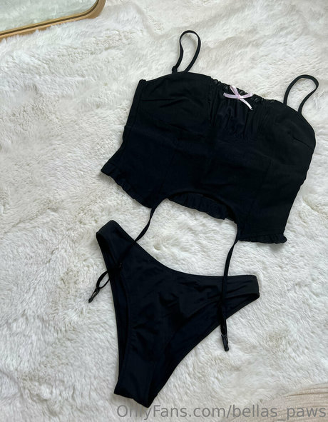 bellas paws Profile Photo