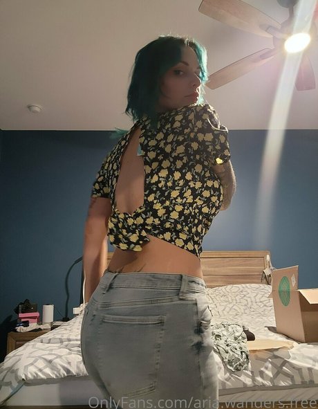 aria wanders free pretty pornstar pic