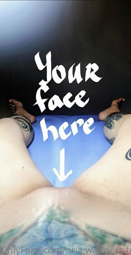 aria wanders free porn model gallery