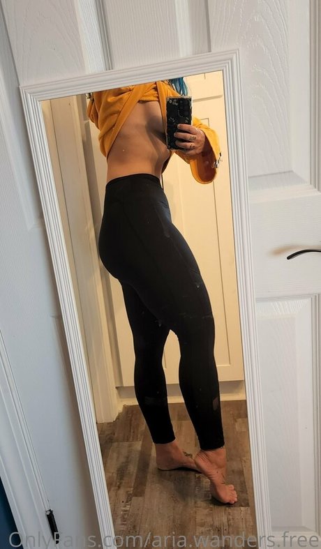 aria wanders free perfect model photo