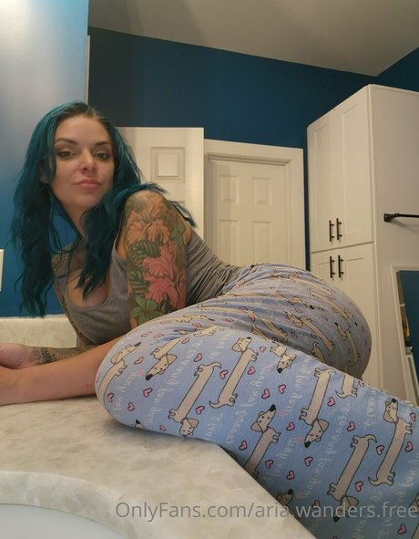 aria wanders free pornstar pretty archive