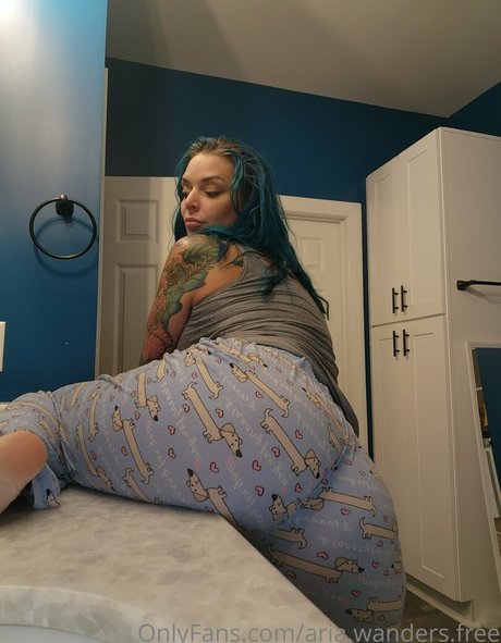 aria wanders free perfect model archive