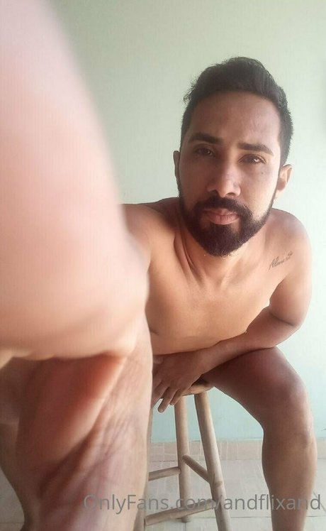 andflixand art pornstar photos